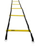 Picture of Rebel Agility Ladder 10m